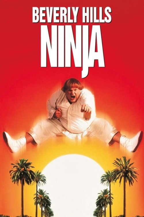Beverly Hills Ninjası
